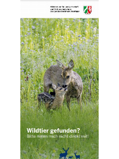 Vorschaubild Vorschaubild Wildtiere.JPG