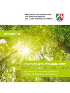 Vorschaubild Waldinfo.JPG