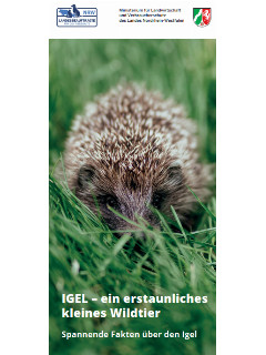 Vorschaubild_Igel Flyer.png