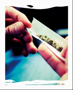Vorschaubild Vorschaubild 2: Cannabis - alle wichtigen Infos auf einen Blick