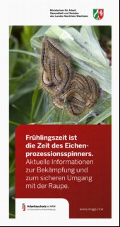 Vorschaubild Vorschaubild 1: Frühlingszeit ist die Zeit des Eichenprozessionsspinners.