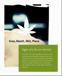 Vorschaubild Vorschaubild 3: Cannabis - alle wichtigen Infos auf einen Blick