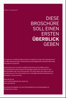 Vorschaubild 2: Das Sorge- und Umgangsrecht