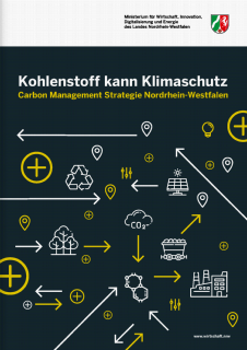 Carbon_Management_Strategie.PNG