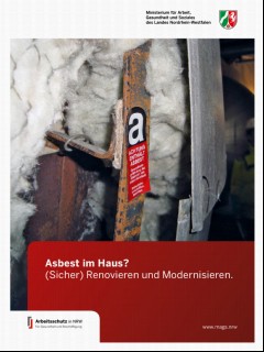 Vorschaubild 1: Asbest im Haus?